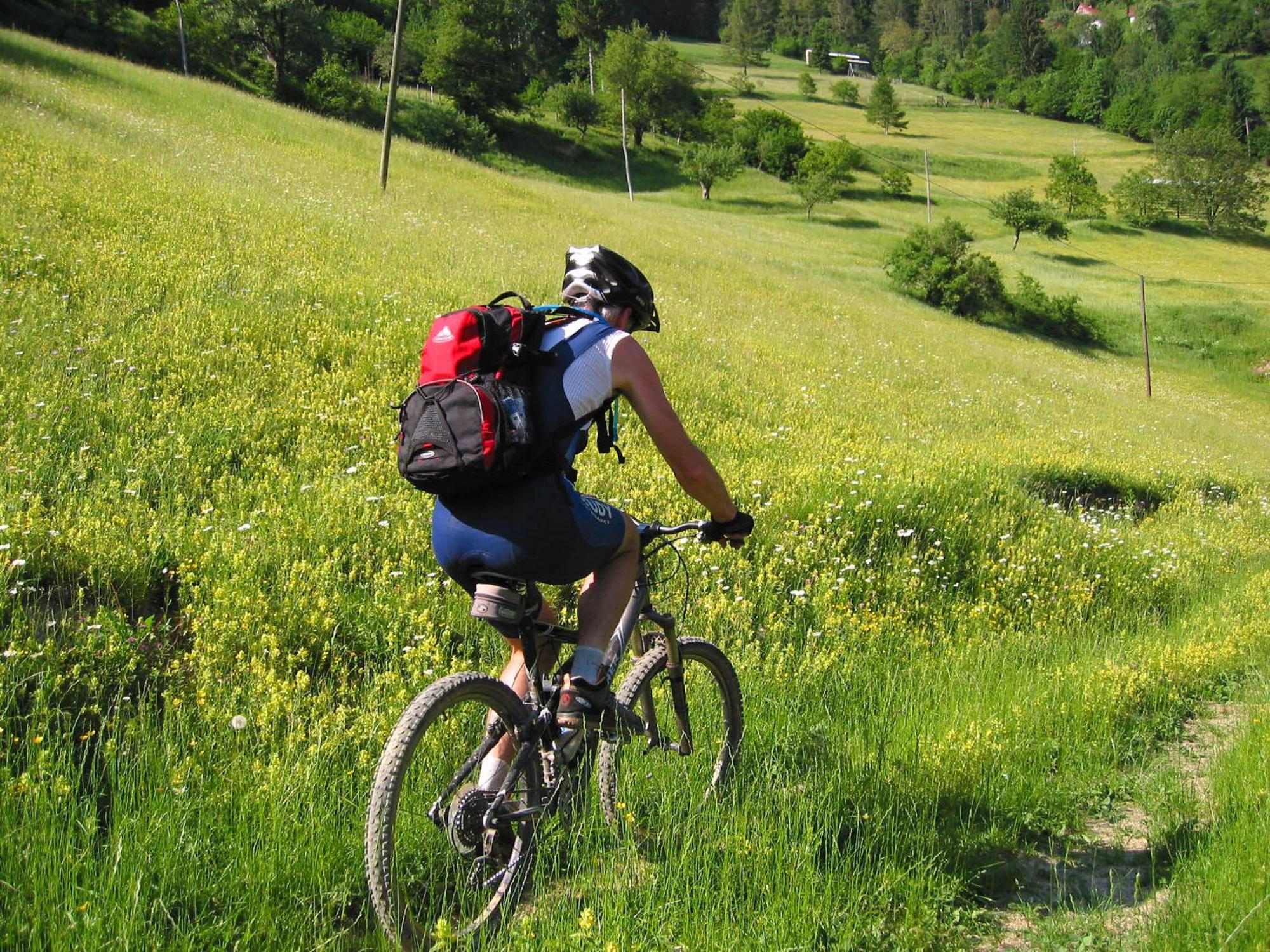 Hotel Center Pokljuka Goreljek Kültér fotó